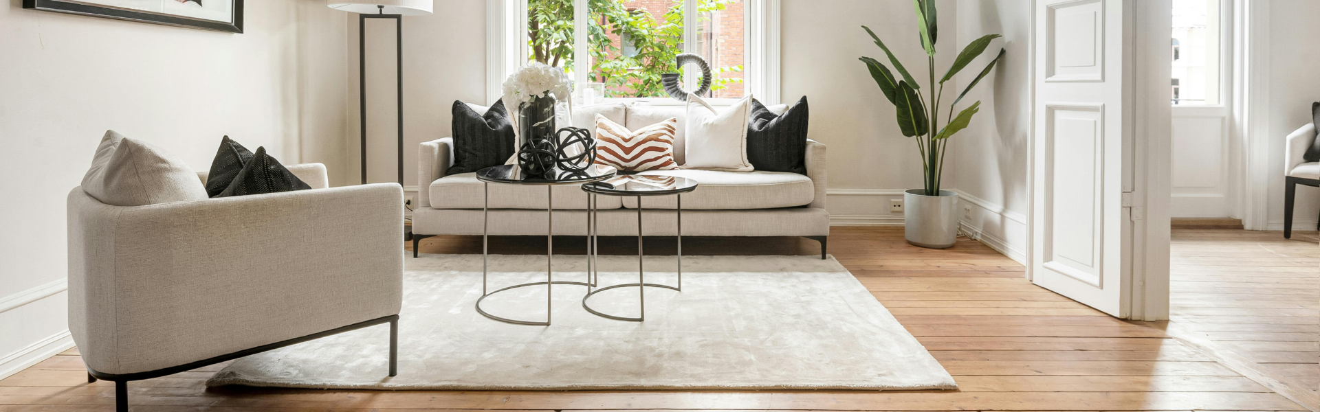 Rug Cleaning